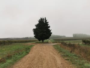 Balade à VTT au départ de Garons - Garons - 3