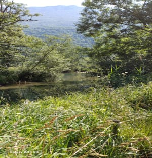 Doussard et la réserve naturelle du bout du lac d'Annecy - Doussard - 10