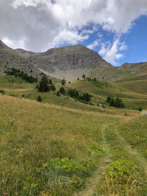 Du col de Vars à Vars les Claux par le chemin des myrtilles - Vars - 9