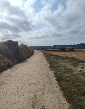 Balade entre Querqueville et Urville - Cherbourg-en-Cotentin - 4