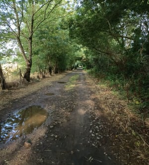 Marche nordique à Oudon et la Loire - Oudon - 6