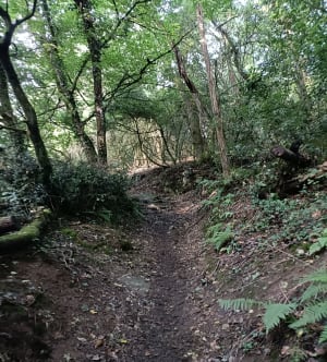 Marche nordique à Oudon et la Loire - Oudon - 7