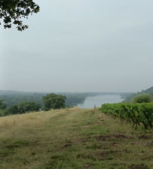 Marche nordique à Oudon et la Loire - Oudon - 8