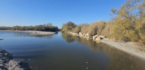 La petite Camargue à St Chamas - Brigitte - 22