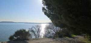 La petite Camargue à St Chamas - Brigitte - 24
