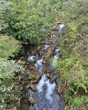 Via Aurelia et fraîcheur de la Cagne - La Gaude - 14