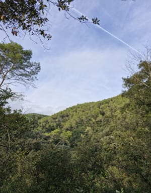Via Aurelia et fraîcheur de la Cagne - La Gaude - 17