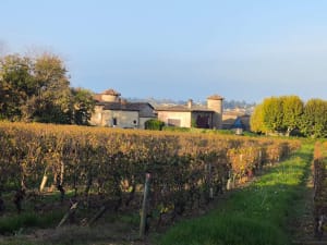 S'attarder devant la chapelle de Buisante et oublier le temps - BORIS - 11