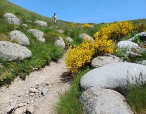 Guéry-plateau en Banne d'Ordanche nabij Mont-Dore - Perpezat - 28