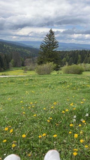 Metabief et le mont d'or - Métabief - 5