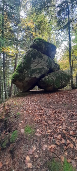 Escapade en forêt et roche mystérieuse - Xavier - 3