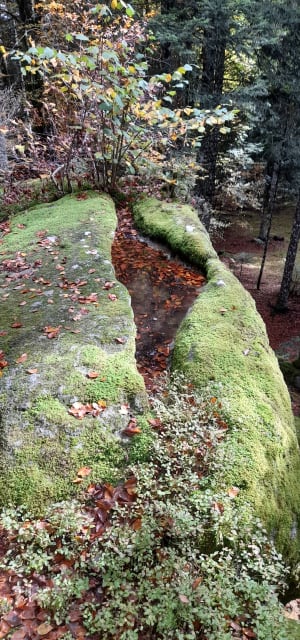 Escapade en forêt et roche mystérieuse - Xavier - 4