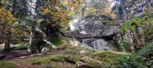 Escapade en forêt et roche mystérieuse - Xavier - 5
