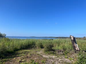 Lac de Cazaux et forêt - Jérôme - 4