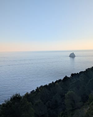 Balade dans la forêt de Janas, par Fabrégas - La Seyne-sur-Mer - 8