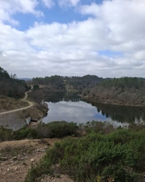 Het meer van Méaulx en de vallei van Gourre - Saint-Paul-en-Forêt - 8