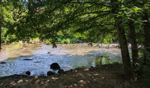 Flâneries au long cours de l'Aveyron - Rodez - 4