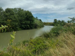 Capestang - Canal du Midi - Capestang - 3