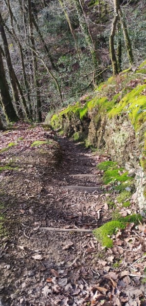 Circuit du saut du loup - Dédée - 17
