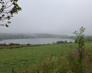 Découverte du Lac de Saint-Front et massif du Mézenc en fond - Saint-Front - 29