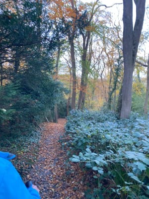 Entre plage et bois à Varengeville - Varengeville-sur-Mer - 18