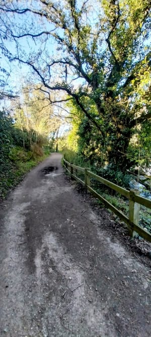 Ploemeur - Circuit des rives du Ter - Ploemeur - 12