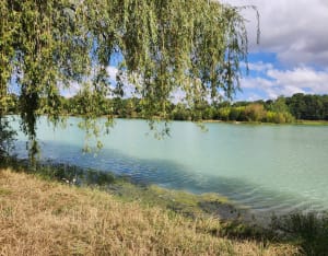 Boucle du Lac vert et Prieuré de Caya - Canéjan - 8