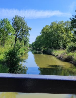 Boucle entre marais et bois du Chay - Trizay - 5