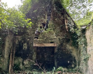Balade tranquille dans le bois Locquenolee - Taulé - 7