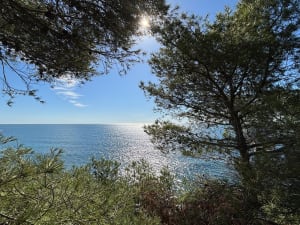 Cap Couronne au départ de Sausset-les-Pins - Sausset-les-Pins - 17