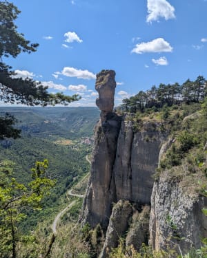 Huttopia : vase de Sèvres, vase de Chine et vautours fauves - Saint-Pierre-des-Tripiers - 17