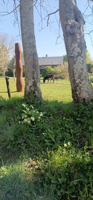 Rando de Vattetot-sur-Mer à Bénouville - Vattetot-sur-Mer - 16