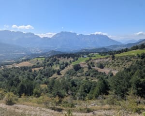 Montée au lac des Barbeyroux - Saint-Bonnet-en-Champsaur - 19