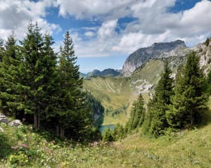 Rando des 4 cols, le Recon, le Braitaz, l'Outanne et le Sevan - La Chapelle-d'Abondance - 7