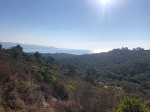 Lavandou, Massif et mer - Le Lavandou - 9