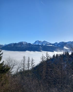 Mont d’Hermone et sa Chapelle, par le col du Feu. - Lyaud - 16