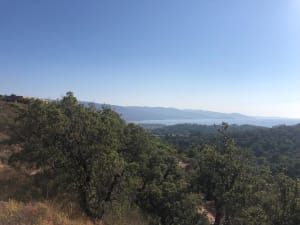 Lavandou, Massif et mer - Le Lavandou - 10