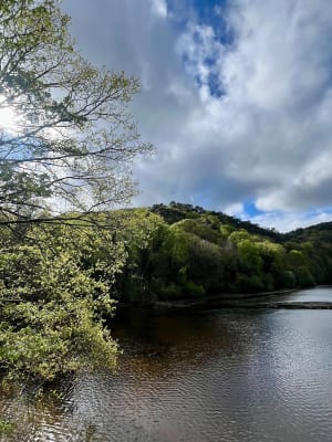 Lac du Guerlédan par le barrage et les landes de Trévejan - Guerlédan - 3