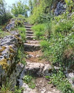 Randonnée à côté de la cascade de Glandieu - Clément - 8