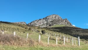 Envolée vers le Pena Plata, entre la France et l'Espagne - Lezea, Sare - 16