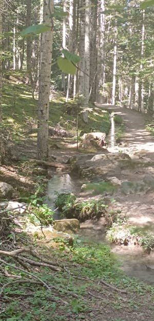 Le canal de la Pisse - Ubaye-Serre-Ponçon - 10