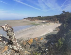 Hillion et le sentier des douanier du côté de la maison de la baie de St-Brieuc - Hillion - 5