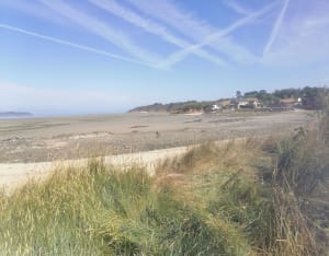 Hillion et le sentier des douanier du côté de la maison de la baie de St-Brieuc - Hillion - 6