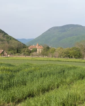 Autour de Saint-Martin-de-la-Cluze - Rachel - 5