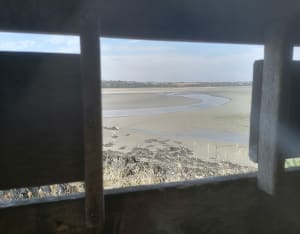 Hillion et le sentier des douanier du côté de la maison de la baie de St-Brieuc - Hillion - 7