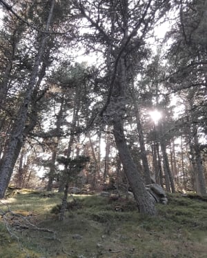 Egat - Font-Romeu - 17