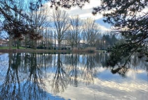Marche à Armentières au lac l'étang bleu - Stéphane - 5
