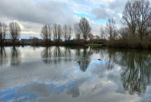 Marche à Armentières au lac l'étang bleu - Stéphane - 6