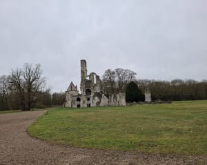 Escapade poétique dans la forêt domaniale d'Ermenonville - Ermenonville - 15