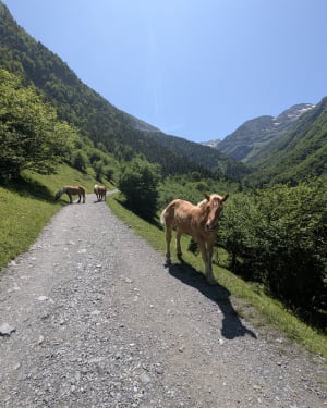 Wandel onder de waterval van het Oô-meer en geniet van schilderachtige uitzichten - Les Granges d'Astau, Oô - 7
